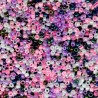 Perle de rocaille verre mélange rose, blanc, bleu nuit